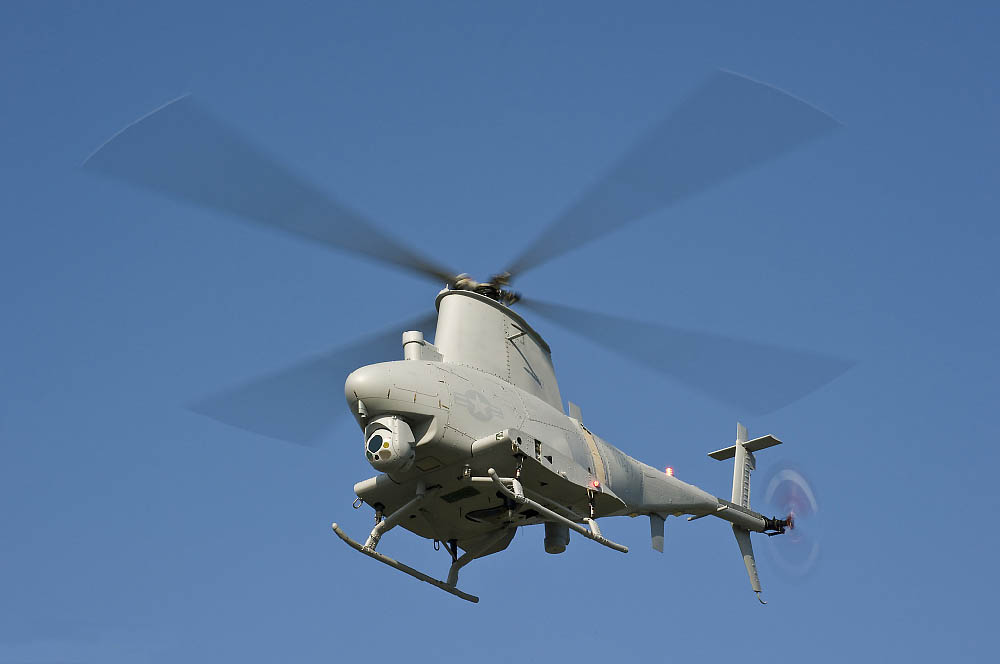 ֱ������֤